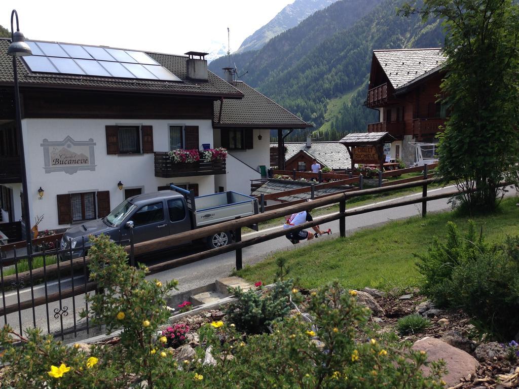 Chalet Bucaneve Santa Caterina Valfurva Exterior foto